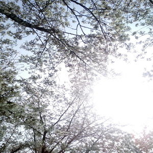 亚洲一区二区中文字幕无码
